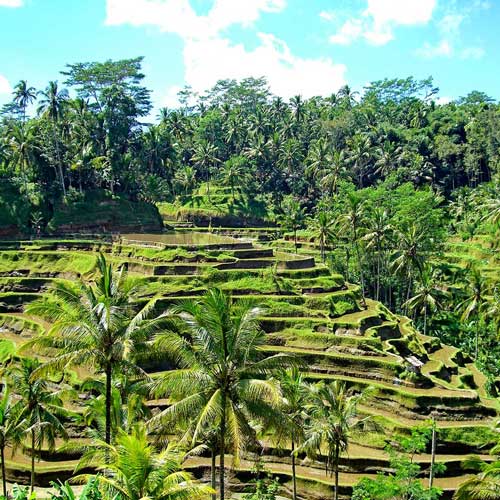 Senada Batik Bali Wonderful Island Of Bali Tegalalang