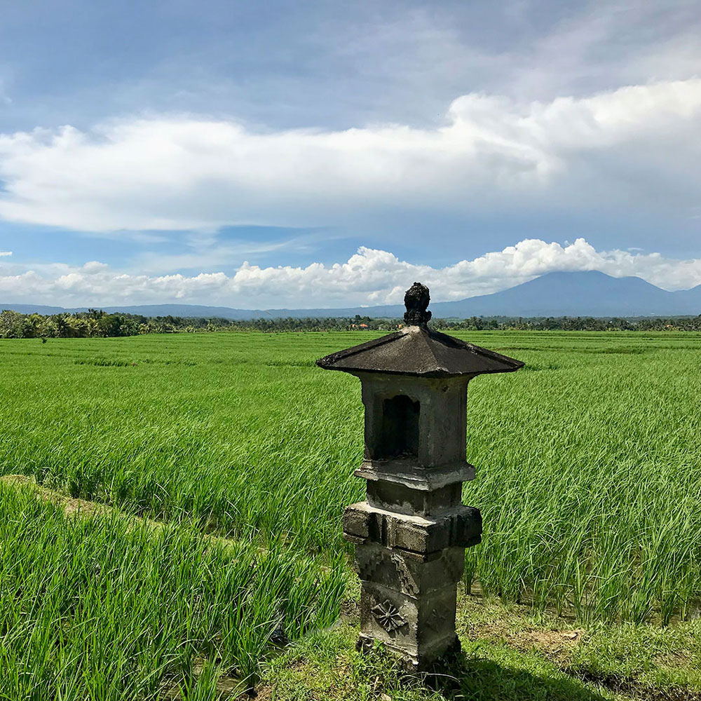 You are currently viewing Post Pandemic Bali